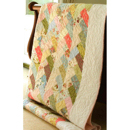 Friendship Braid Quilt Kit