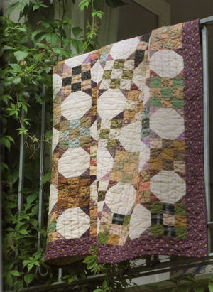 Civil War Scrappy SOLD